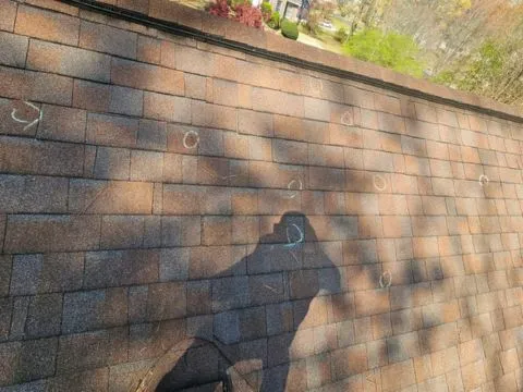 Roofing Project 2
