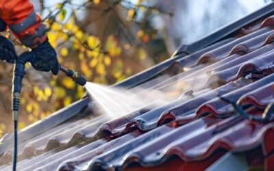 A Homeowner’s Guide to Roof Care and Maintenance