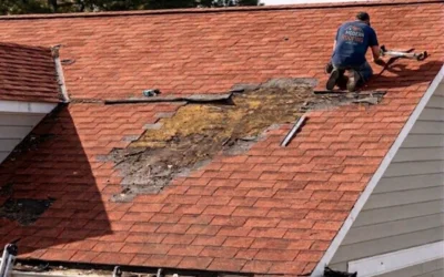 7 Signs That Require an Urgent Roof Inspection