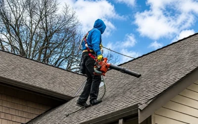 What Roof Care Tips Do Roofers Recommend for Homeowners?