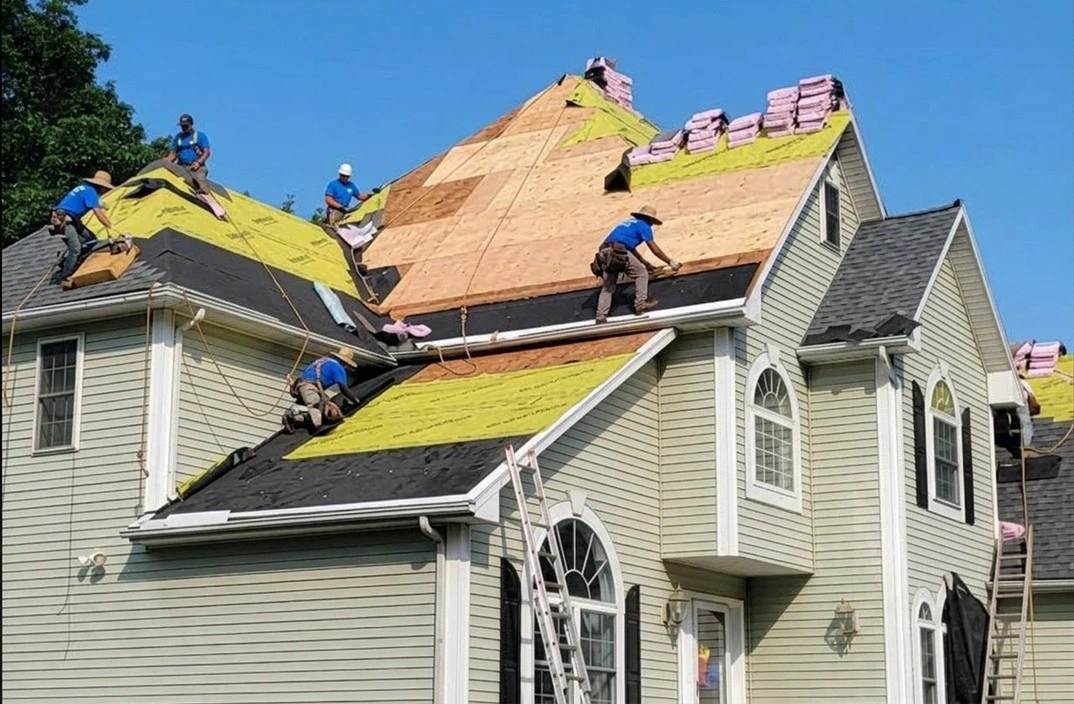 new roof plan