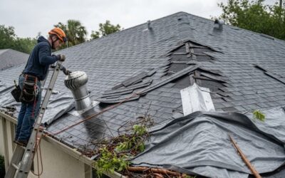 Why Should Homeowners Not Delay Roof Repair?