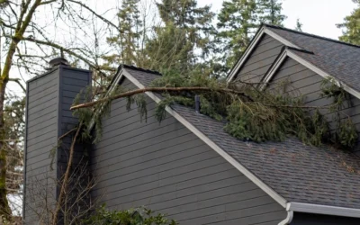 What Should You Do Immediately After Storm Damage?