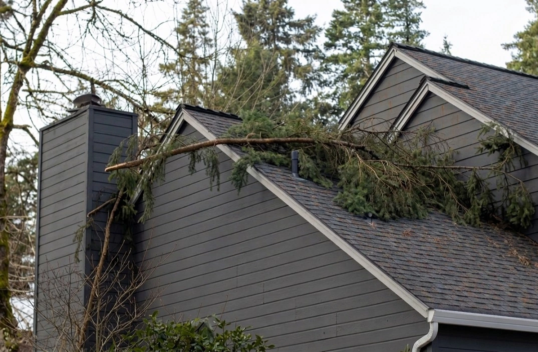 Storm damage roof