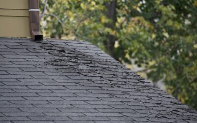 What Are the First Signs That a Roof Needs Attention?