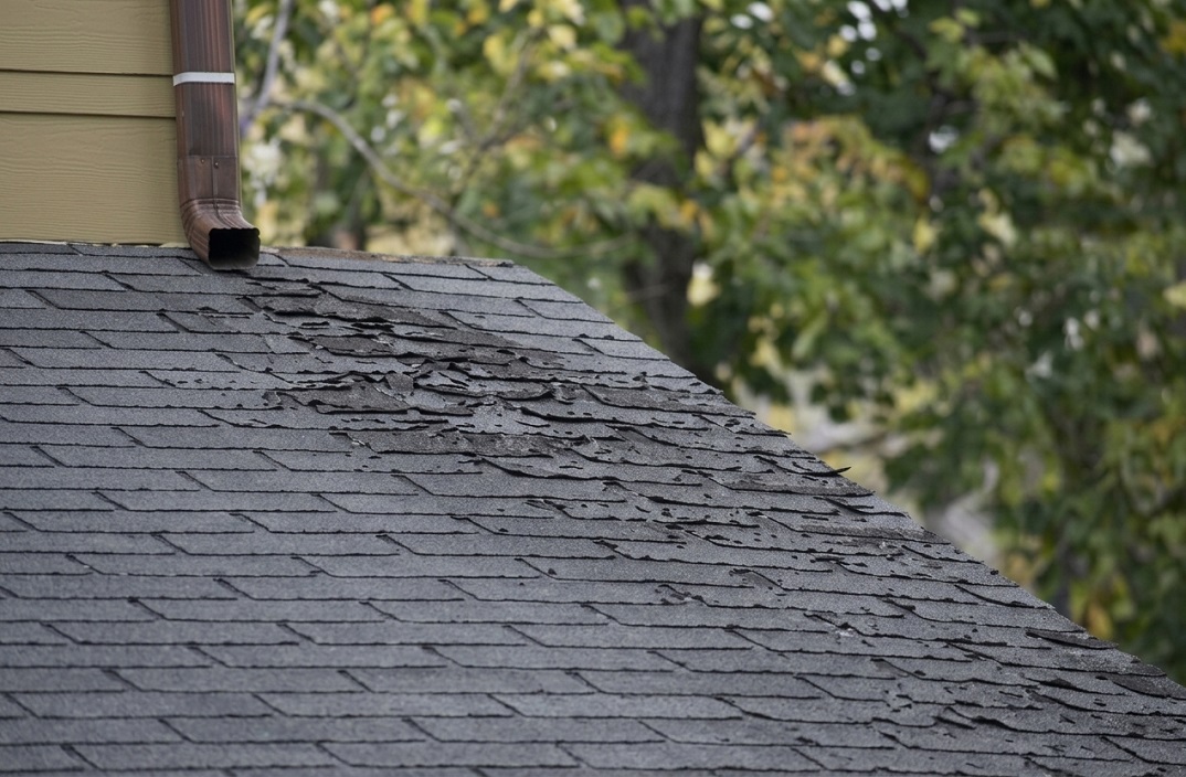 Roof needs attention roof needs attention